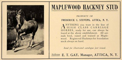 1909 ad maplewood hackney stud frederick c. stevens - original advertising cl7 for sale