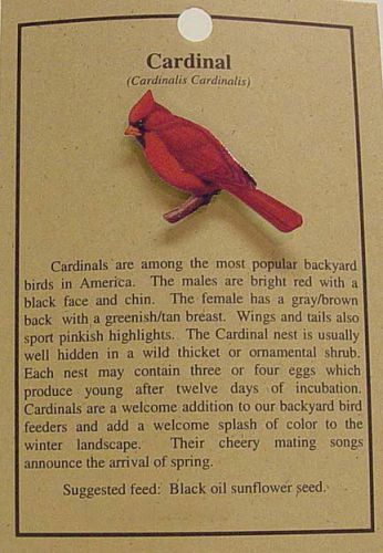 CARDINAL  BIRD HAT PIN LAPEL PINS -FREE U.S. SHIP