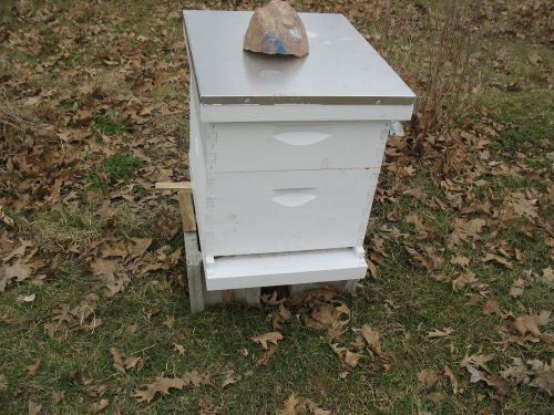 10 Frame Traditional Complete Hive Kit New w/ super (ALL YOU NEED IS BEES