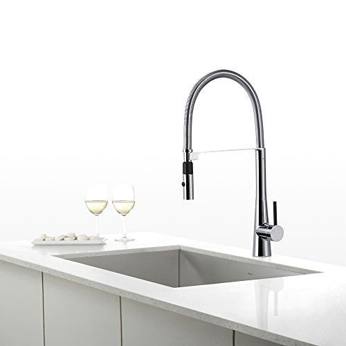 Modern Crespo Single Lever Commercial Style Kitchen Faucet with Flex Hose,Chrome