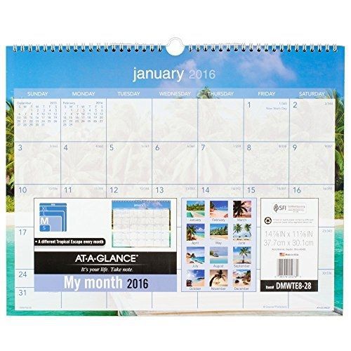At-A-Glance AT-A-GLANCE Wall Calendar 2016, Tropical Escape, 12 Months, 15 x 12
