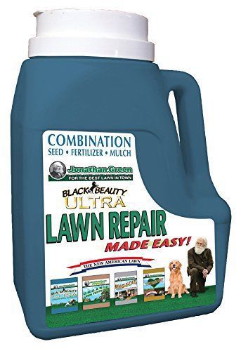 Lawn Repair Made Easy