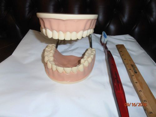 Dental Care Teaching and Education