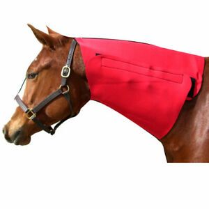 Intrepid International 245753 Neoprene Neck Sweat Horse, Red