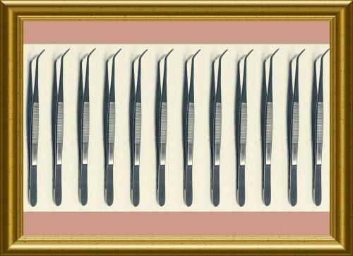 12 college cotton dressing forceps 6&#034; dental instruments   hq stainless steel for sale
