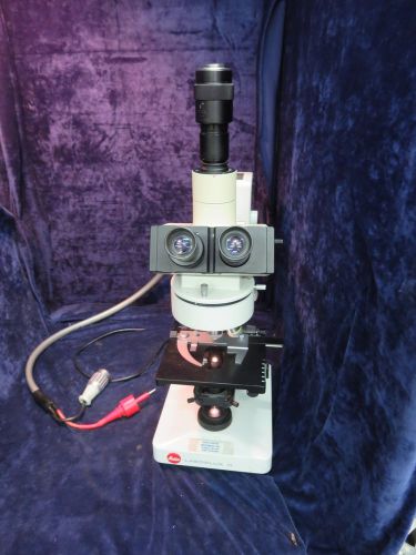 Leitz Wetzlar Laborlux D + Phaco 4/10/40/100 + Periplan 10X Microscope rack13c