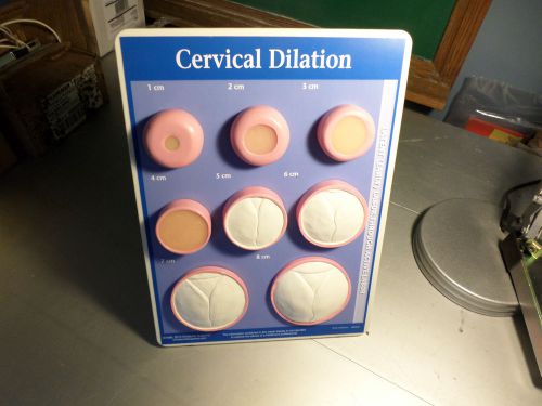 childbirth Cervical dilation easel display