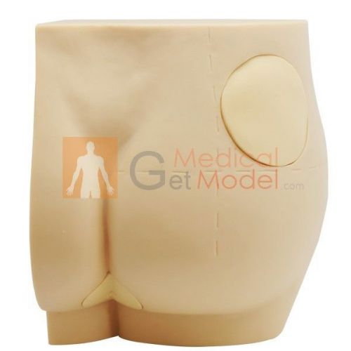 Brand New Buttocks/Hip Intramuscular Injection Simulator Training model