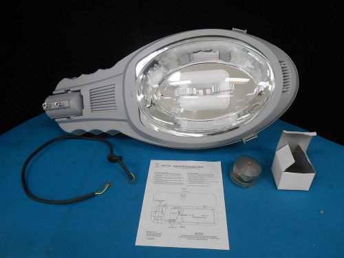 Neptun light 82040 cobra head street parking roadway light induction luminaire for sale