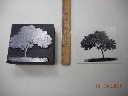 Letterpress Printing Printers Block, Small Deciduous Tree