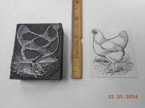 Letterpress Printing Printers Block, Farm, Plump Chicken Hen