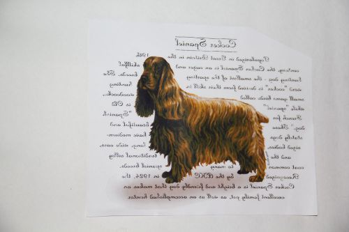 Package of 100 Full Color Heat Transfers Cocker Spaniel New in Package