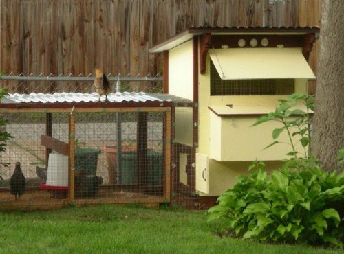 Low Cost Backyard Mini Chicken Coop -  Building Plans Book