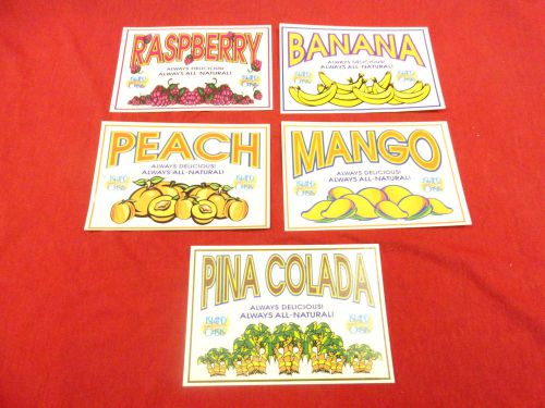 Island Oasis Flavor Signs Pina Colada Peach Banana Raspberry Mango