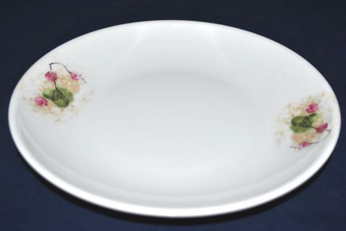 NEW 12 PC Melamine 7&#034; Round Dinner Plate  with Plum Picture  (#1070)