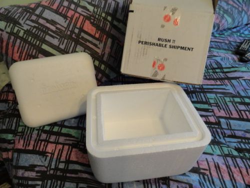 Thermalock Styrofoam Insulated Cooler Shipping Container 11&#034;x9&#034;x7.5&#034;