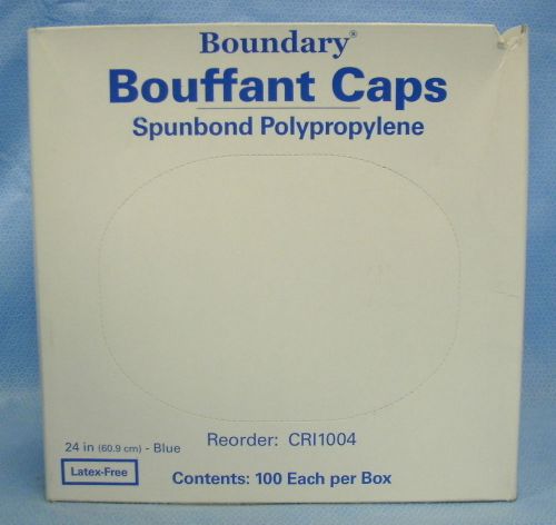 1 Box of 100 Boundary Medical Bouffant Caps #CRI1004