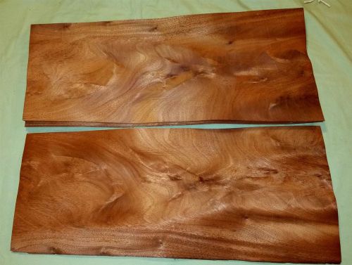 Mahogany Crotch 25.25 x 10.25 wood Veneer Stunning #v1696