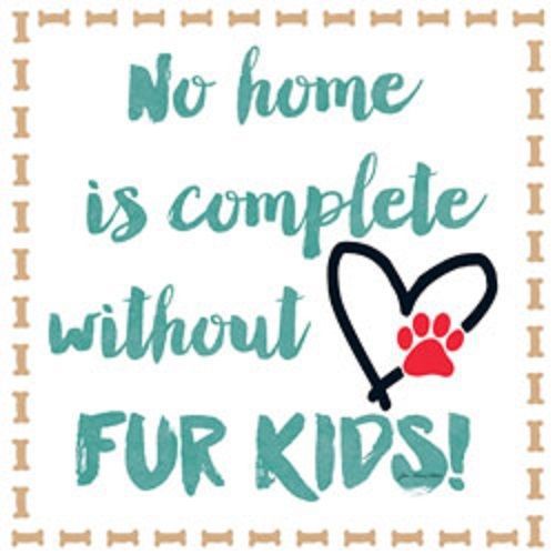 Fur Kids Dog Cat HEAT PRESS TRANSFER for T Shirt Sweatshirt Tote Fabric 999m