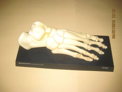 Vintage Drug Rep Medical Model Feet Bones Anatomy Merck Advertisement