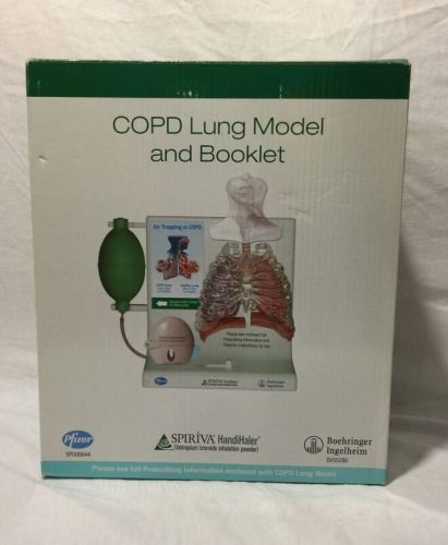 Lung Anatomical Model Pathology COPD Anatomy Smoking Functional Lung Model NEW