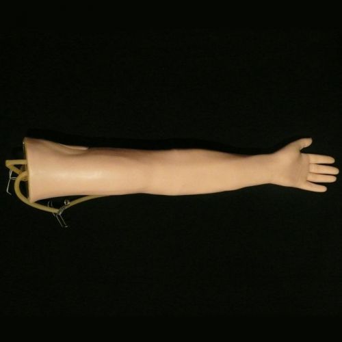 Injection training arm ,human anatomical model for sale