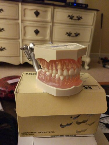 Nissin Dental Model with removable teeth