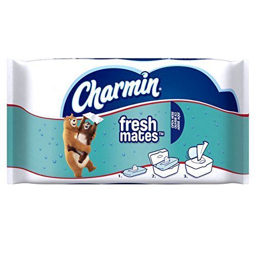 Wipes Flushable Refills 40 Count New 12 Pack Charmin Freshmates FREE SHIPPING