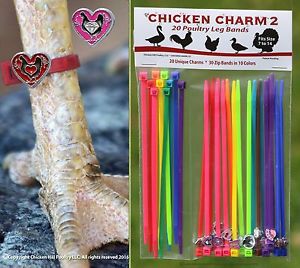 NEW! 20 Chicken Charm ™ 2 Poultry Leg Bands ~ Chicken,Geese,Duck Size 7-14