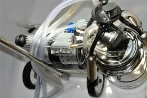 Cow Milker SS Mobile Base OILLESS Vacuum Pump 10 Liter SS Bucket Claw Regulator