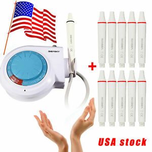 Dental Ultrasonic Piezo Scaler Fit EMS + 10PC Scaler Handpiece SKYSEA