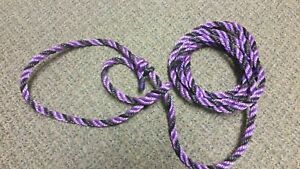 Cattle Bovine Adjustable Halter with Rope Lead Showing Black and Purple Poly