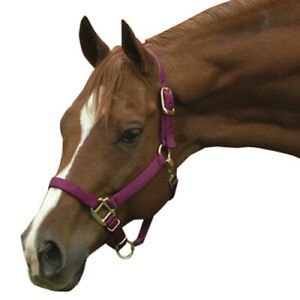 Intrepid International 1ZAS811BU Nylon Horse Halter, Horse - Burgundy