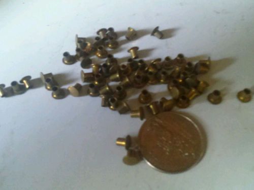 1/8 x 3/16 semi tubular brass rivets qty100 for sale