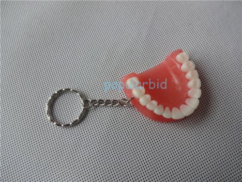 Teeth Model Keychain for Dentist Dental Gift