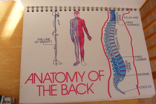 Chiropractic Education Flip Chart Back pain 1978 colorful american Chiro assoc