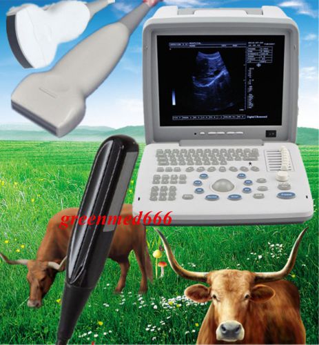 Vet veterinary ultrasound scanner digital machine+ convex&amp;liner&amp;rectal 3probe 3d for sale