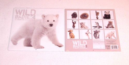 2015 sixteen (16) month calendar:  wild babies - full color for sale