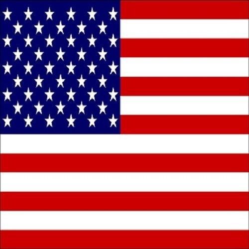 30 Custom USA Flag Personalized Address Labels