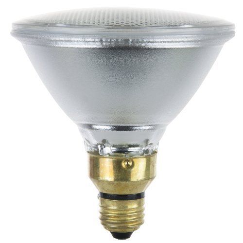 Sunlite 60PAR38/HAL/FL 60-Watt Halogen PAR38 Reflector Bulb  Clear