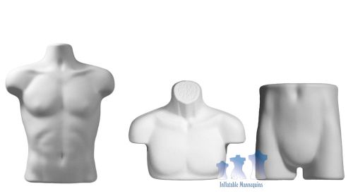 Male torso, upper torso, and brief display forms, white for sale
