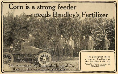 1907 Ad Fertilizer American Agricultural Chemical Co - ORIGINAL ADVERTISING CG1