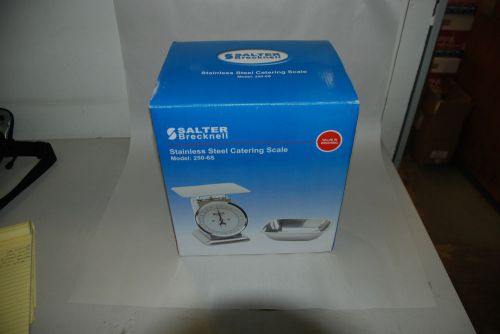 Salter Brecknell 250-6S Mechanical Portion Control Top Loading Scale