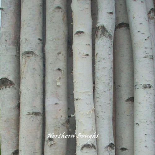 Custom listing birch poles 50 stands 8 for sale