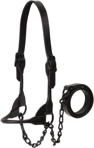 Weaver leather black magic dairy or beef show halter - matching lead - large for sale