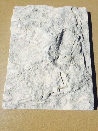 Natural Stone Veneer SplitFace 8xRandom