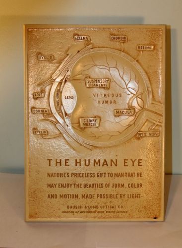 Bausch Lomb Syroco optical anatomy 3 D engraved advertisement plaque HUMAN EYE