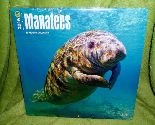 2016 MANATEES 12&#034; x 12&#034; Wall Calendar New &amp; Sealed