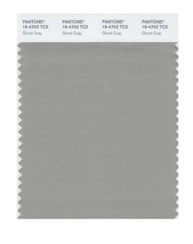 Pantone 16-4703 TCX Smart Color Swatch Card, Ghost Gray