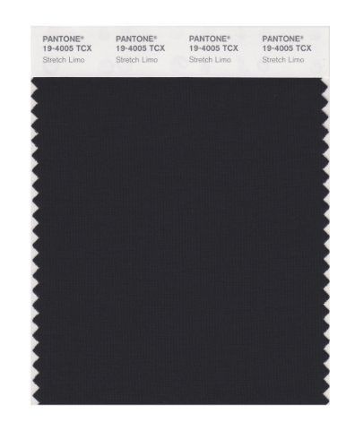 PANTONE SMART 19-4005X Color Swatch Card, Stretch Limo